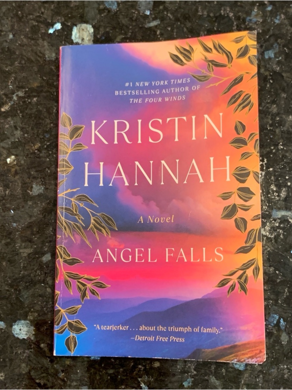 Kristin Hannah Angel Falls Novel Paperback Book